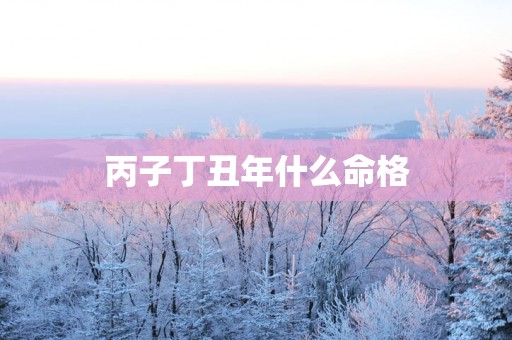 丙子丁丑年什么命格