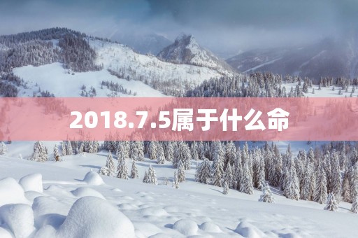 2018.7.5属于什么命