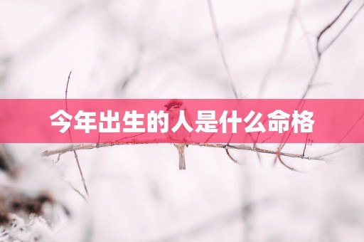 今年出生的人是什么命格