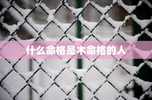 什么命格是木命格的人