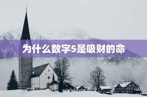 为什么数字5是吸财的命