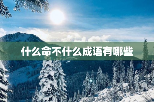 什么命不什么成语有哪些