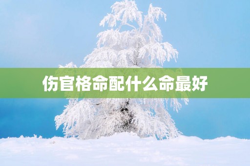 伤官格命配什么命最好