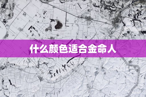 什么颜色适合金命人