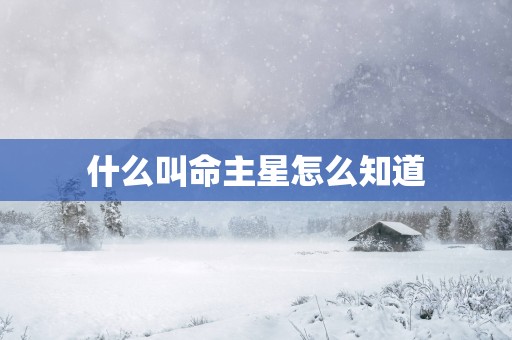 什么叫命主星怎么知道