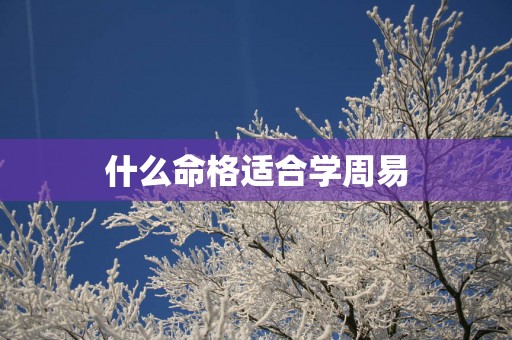 什么命格适合学周易