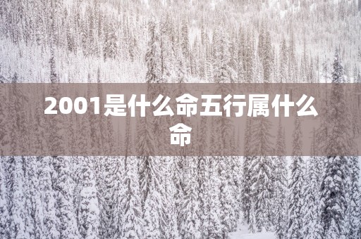 2001是什么命五行属什么命