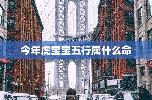今年虎宝宝五行属什么命
