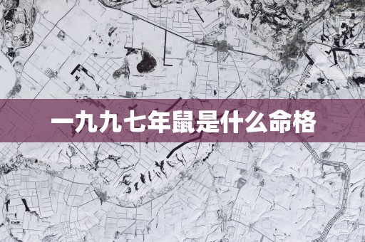 一九九七年鼠是什么命格