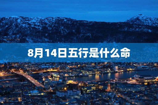 8月14日五行是什么命