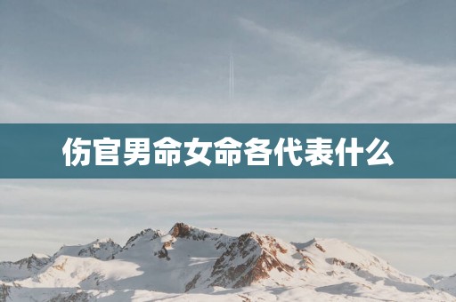 伤官男命女命各代表什么