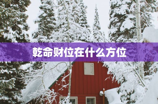 乾命财位在什么方位