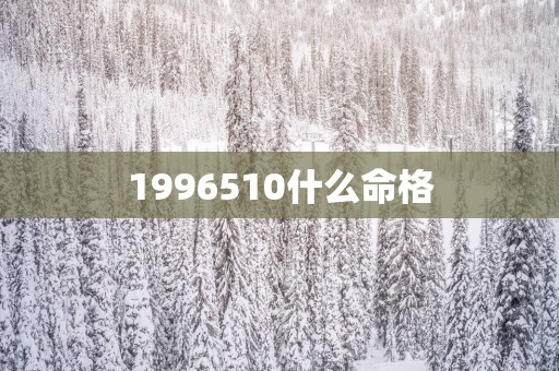 1996510什么命格