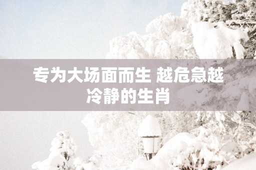 专为大场面而生 越危急越冷静的生肖