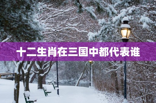 十二生肖在三国中都代表谁