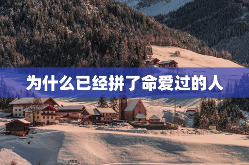 为什么已经拼了命爱过的人