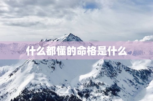 什么都懂的命格是什么