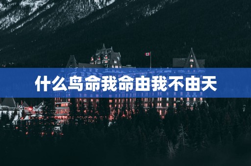 什么鸟命我命由我不由天