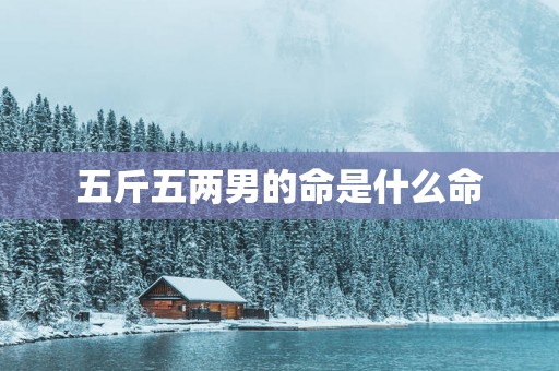 五斤五两男的命是什么命