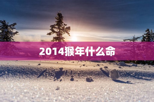 2014猴年什么命 2014猴年什么命