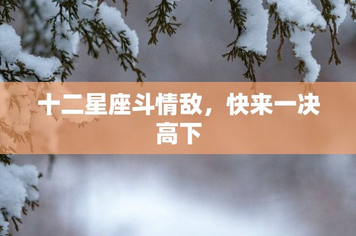 十二星座斗情敌，快来一决高下