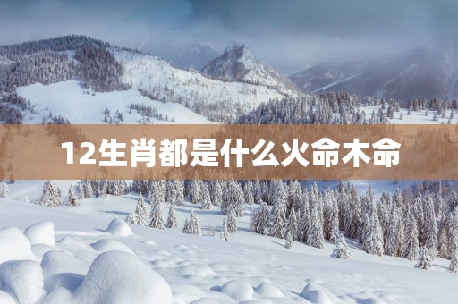 12生肖都是什么火命木命