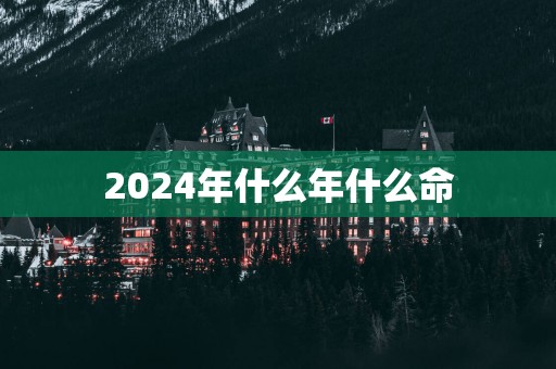 2025年什么年什么命