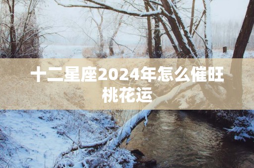 十二星座2025年怎么催旺桃花运