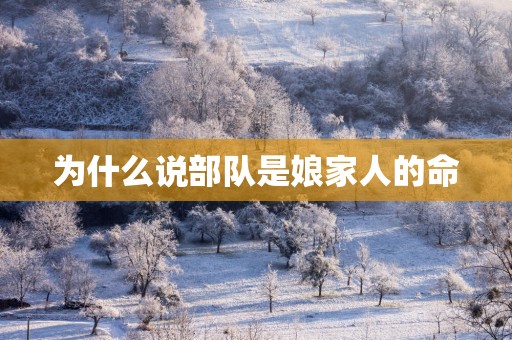 为什么说部队是娘家人的命