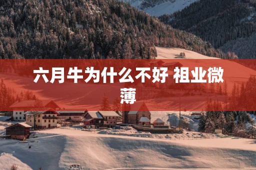 六月牛为什么不好 祖业微薄