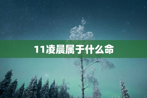 11凌晨属于什么命
