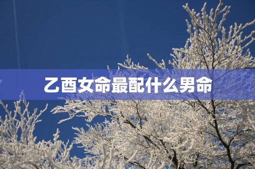 乙酉女命最配什么男命