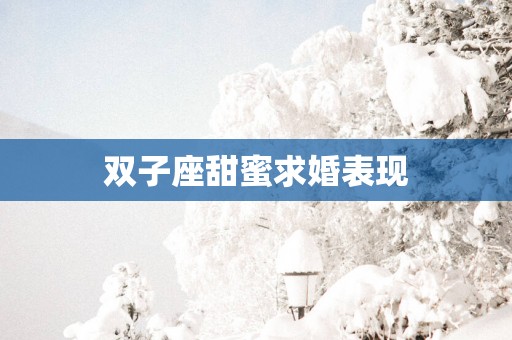 双子座甜蜜求婚表现