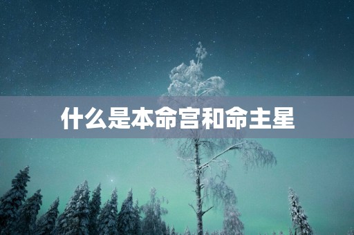 什么是本命宫和命主星
