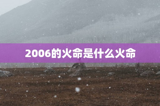 2006的火命是什么火命