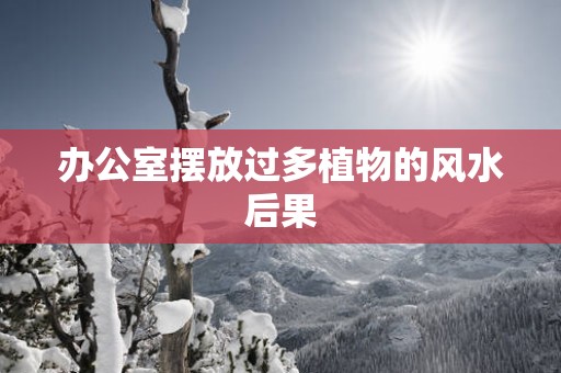 办公室摆放过多植物的风水后果 办公室摆放过多植物的风水后果