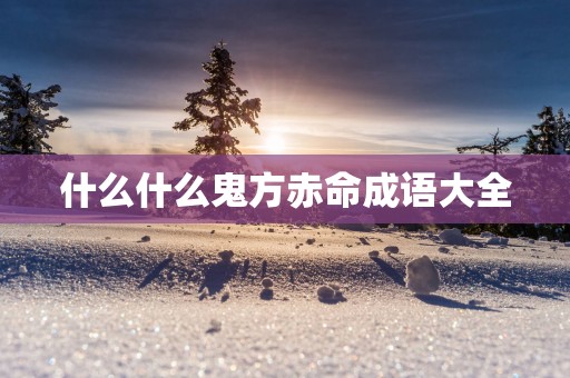 什么什么鬼方赤命成语大全