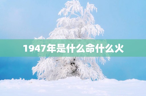 1947年是什么命什么火