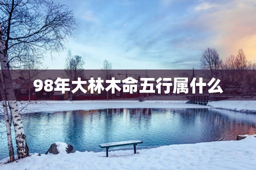98年大林木命五行属什么