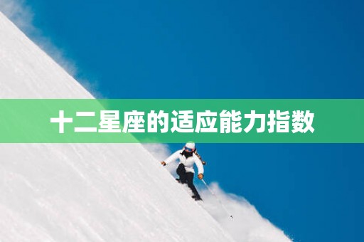 十二星座的适应能力指数