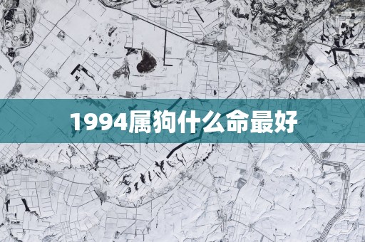 1994属狗什么命最好