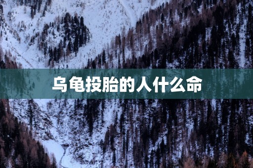 乌龟投胎的人什么命