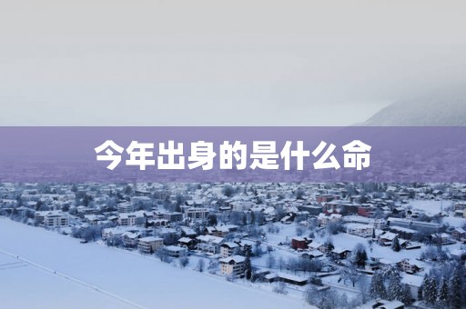 今年出身的是什么命