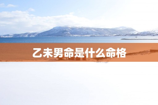 乙未男命是什么命格