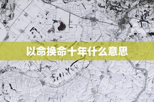 以命换命十年什么意思
