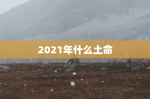 2025年什么土命