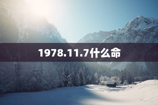 1978.11.7什么命