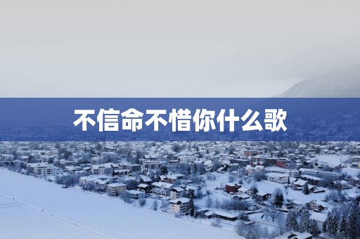 不信命不惜你什么歌