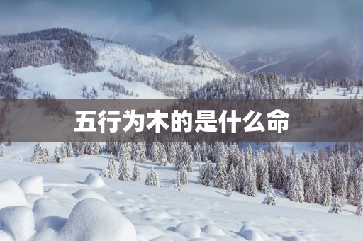 五行为木的是什么命