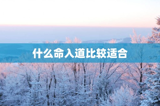 什么命入道比较适合